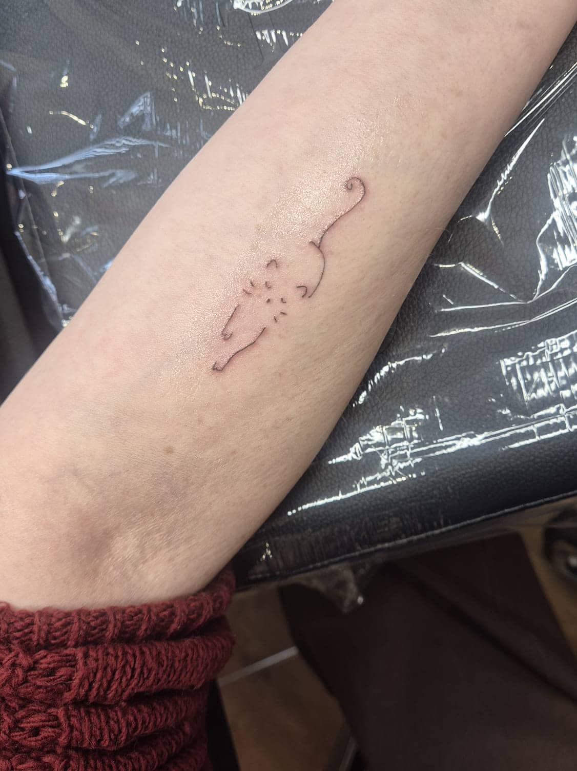 Tatouage Charlene RAMEAU (5)